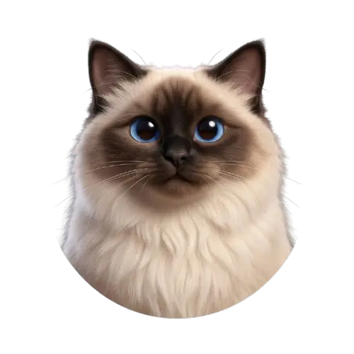 Rufián