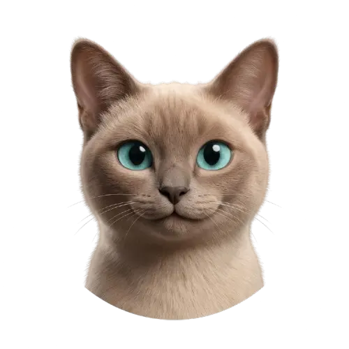 Oliver