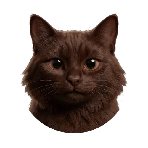 Puka