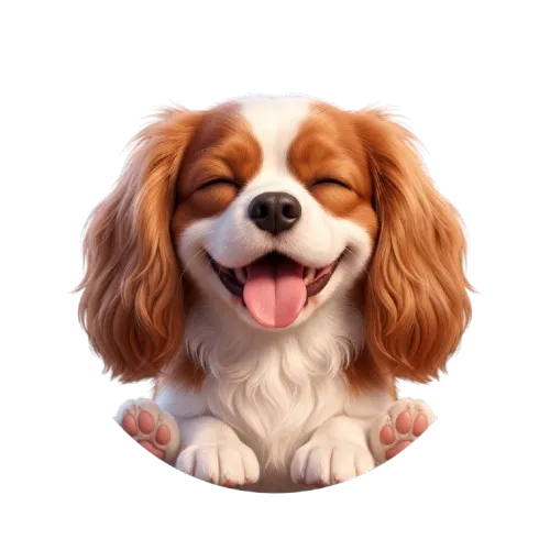 Koda