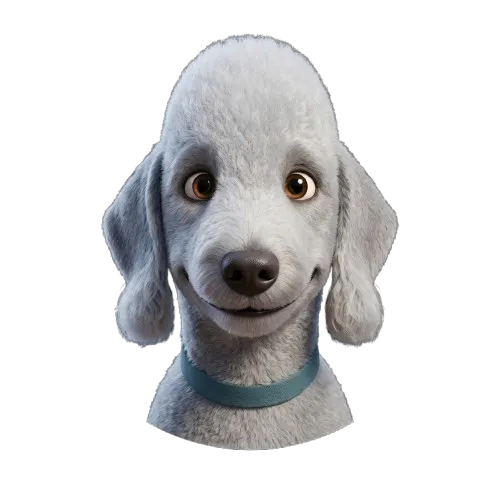 Budi