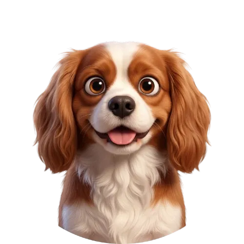 Cooper