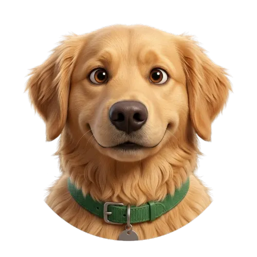 Uma