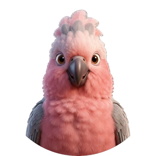 Ali