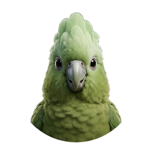 Noa