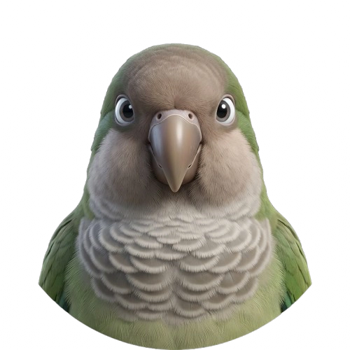Zazú